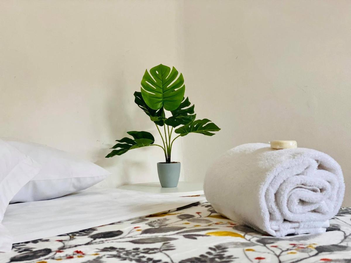 Casa Del Centro Bed & Breakfast Morelia Ngoại thất bức ảnh