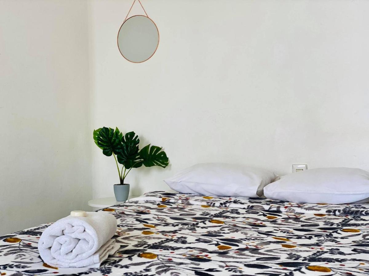 Casa Del Centro Bed & Breakfast Morelia Ngoại thất bức ảnh